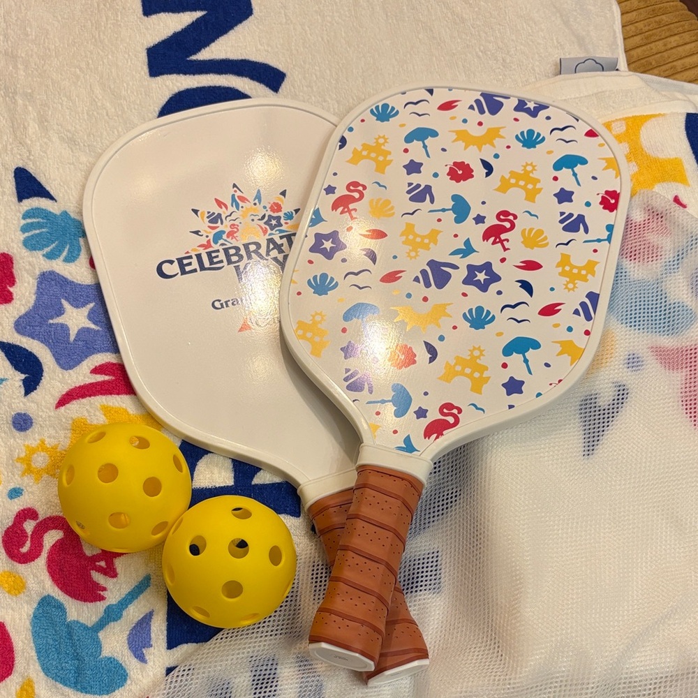 Pickleball Paddle Set with Balls
